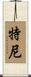 Turney Scroll