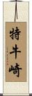 特牛崎 Scroll