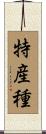 特産種 Scroll