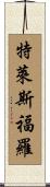 Telesforo Scroll