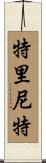 Trinit Scroll