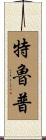 Troup Scroll