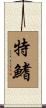 特鰭 Scroll
