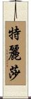 Teresa Scroll