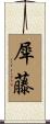 犀藤 Scroll