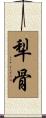 犁骨 Scroll