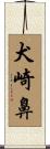 犬崎鼻 Scroll