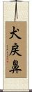 犬戻鼻 Scroll