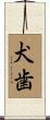 犬歯 Scroll