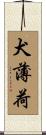 犬薄荷 Scroll