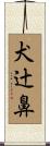 犬辻鼻 Scroll