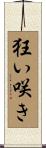 狂い咲き Scroll