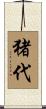 猪代 Scroll
