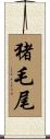 猪毛尾 Scroll