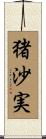 猪沙実 Scroll
