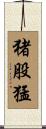猪股猛 Scroll