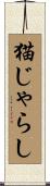 猫じゃらし Scroll