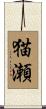 猫瀬 Scroll