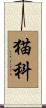 猫科 Scroll
