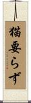 猫要らず Scroll