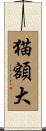 猫額大 Scroll