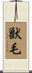 獣毛 Scroll