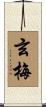 玄梅 Scroll