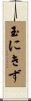 玉にきず Scroll