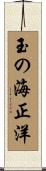 玉の海正洋 Scroll