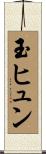 玉ヒュン Scroll