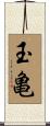 玉亀 Scroll