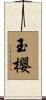 玉櫻 Scroll