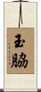 玉脇 Scroll