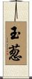 玉葱 Scroll