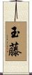 玉藤 Scroll
