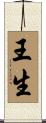 王生 Scroll