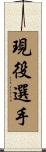 現役選手 Scroll
