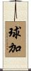 球加 Scroll