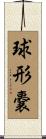 球形嚢 Scroll