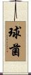 球菌 Scroll