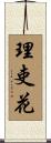 理吏花 Scroll