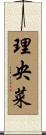 理央菜 Scroll