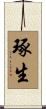 琢生 Scroll