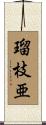 瑠枝亜 Scroll