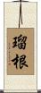 瑠根 Scroll
