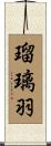 瑠璃羽 Scroll