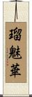 瑠魅華 Scroll