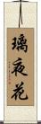 璃夜花 Scroll