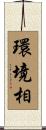 環境相 Scroll
