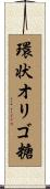 環状オリゴ糖 Scroll